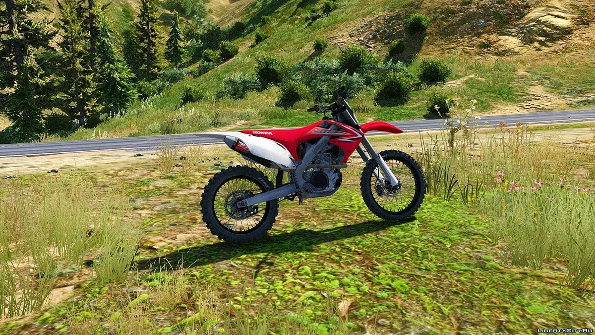 2009 Honda CR450R / GTA 5