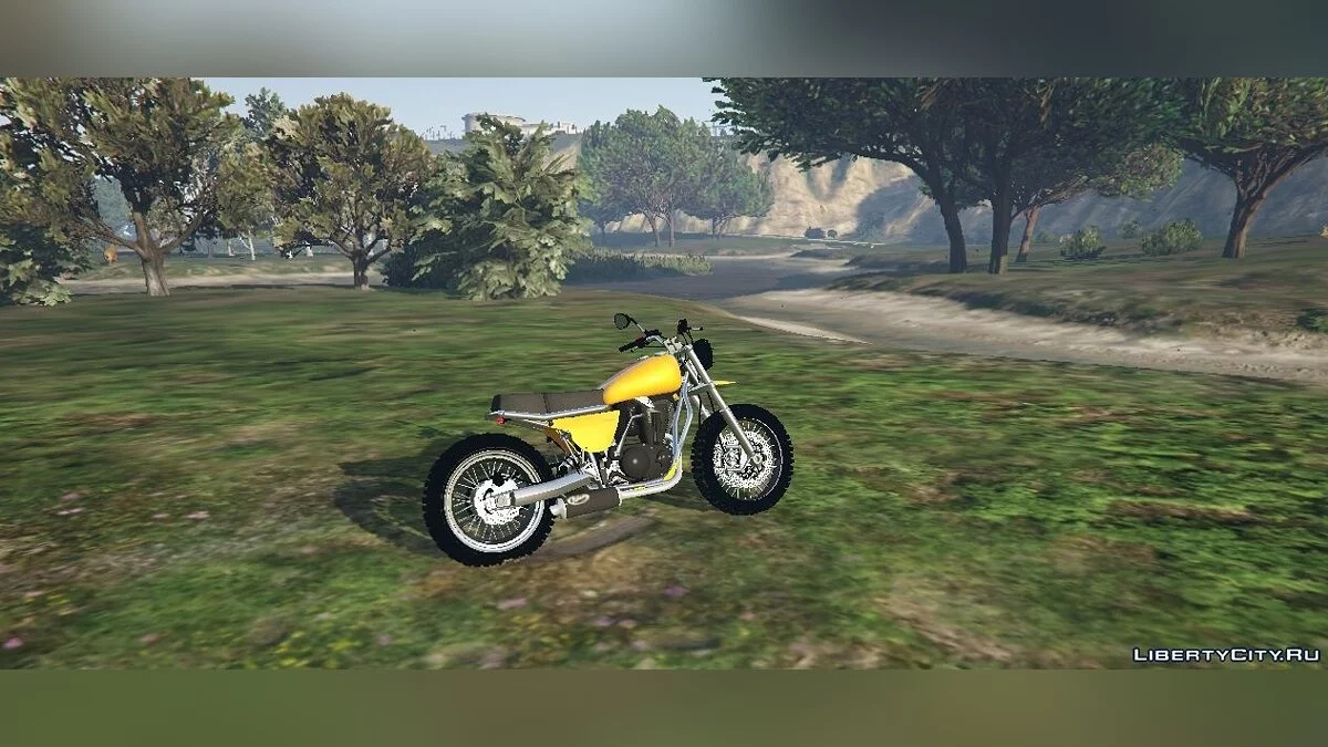 Dinka Enduro Custom Street Tracker 0.1 / GTA 5