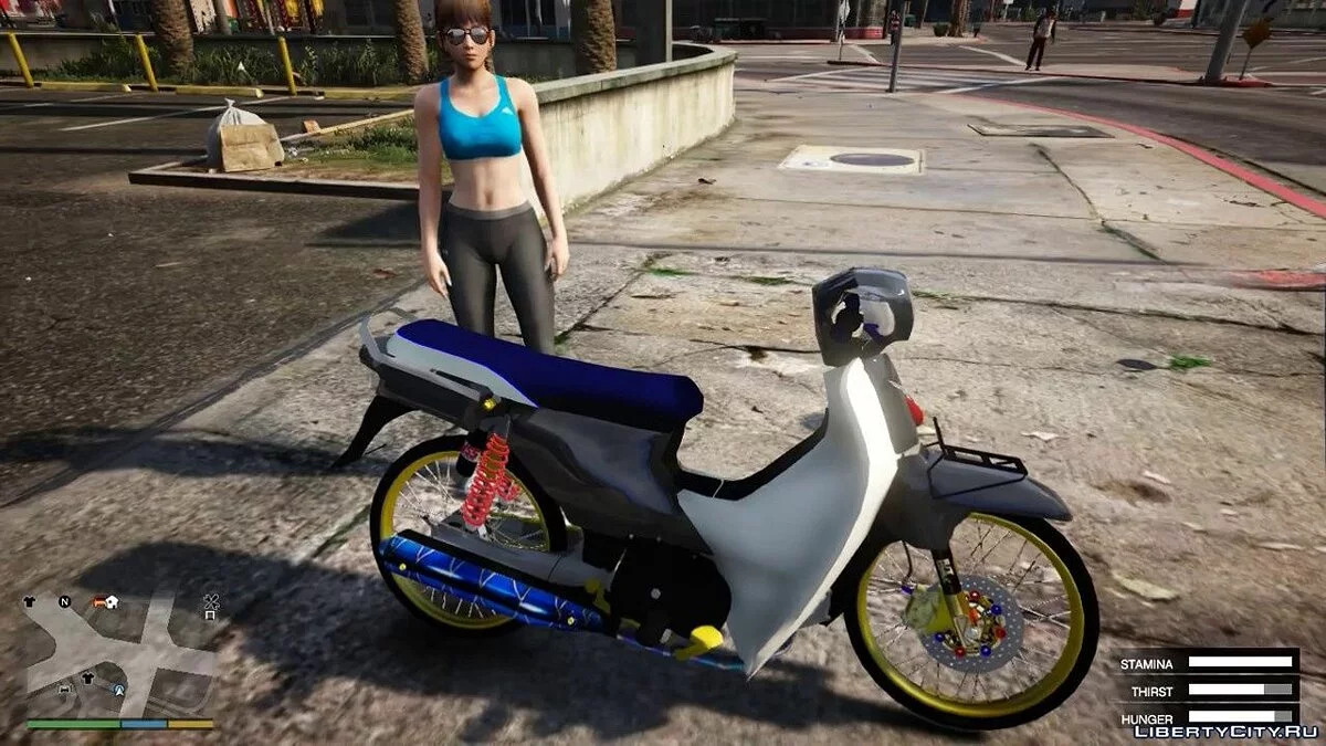 梦幻110版本越南 [替换] 1.0 / GTA 5