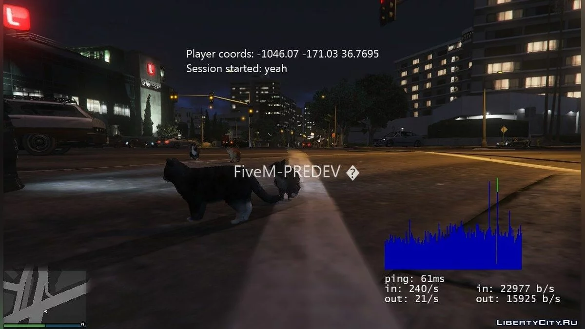 FiveM