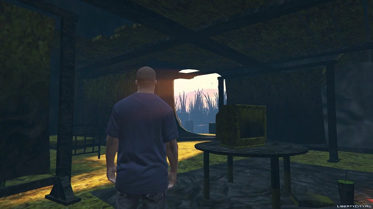 GTA 5 Mushroomia / GTA 5