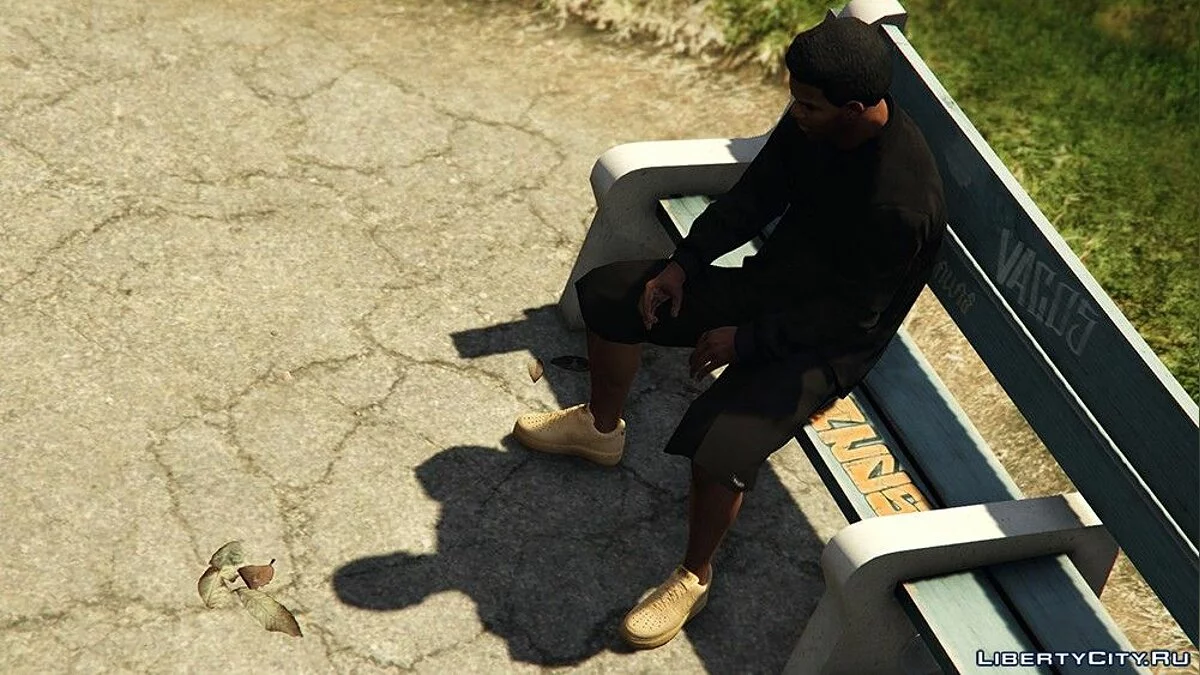 Ліс у Сендзі-Шорс / GTA 5