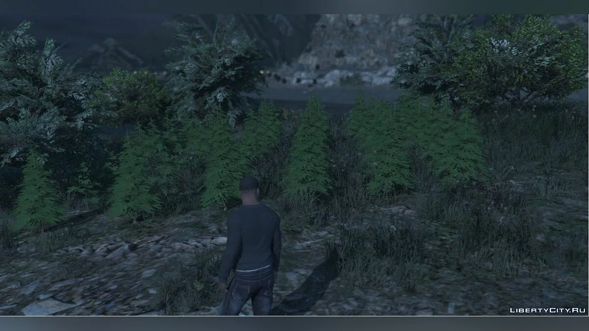 Поле коноплі / GTA 5
