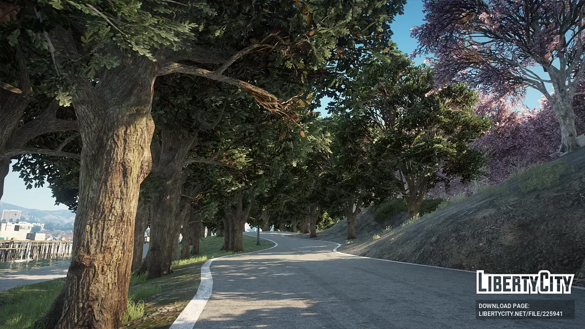 Дрифт-траса [Add-On] 1.2 / GTA 5