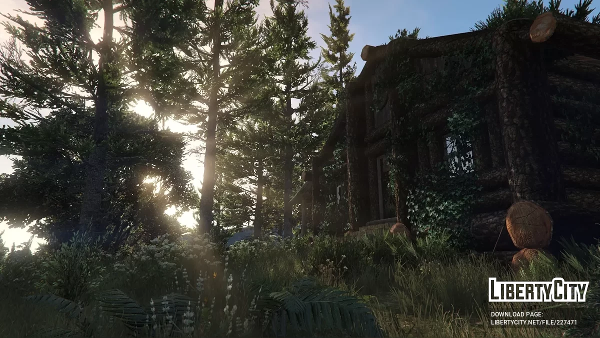 Занедбані будинки [YMAP] / GTA 5