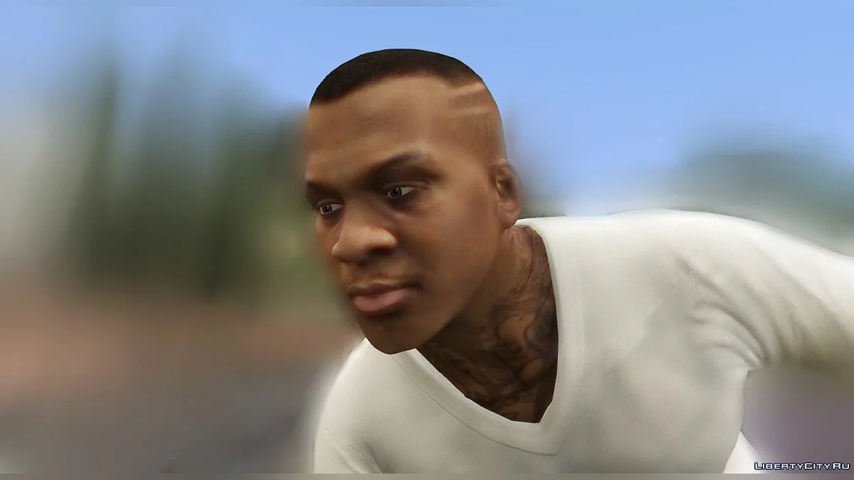 Новое лицо для Франклина / GTA 5