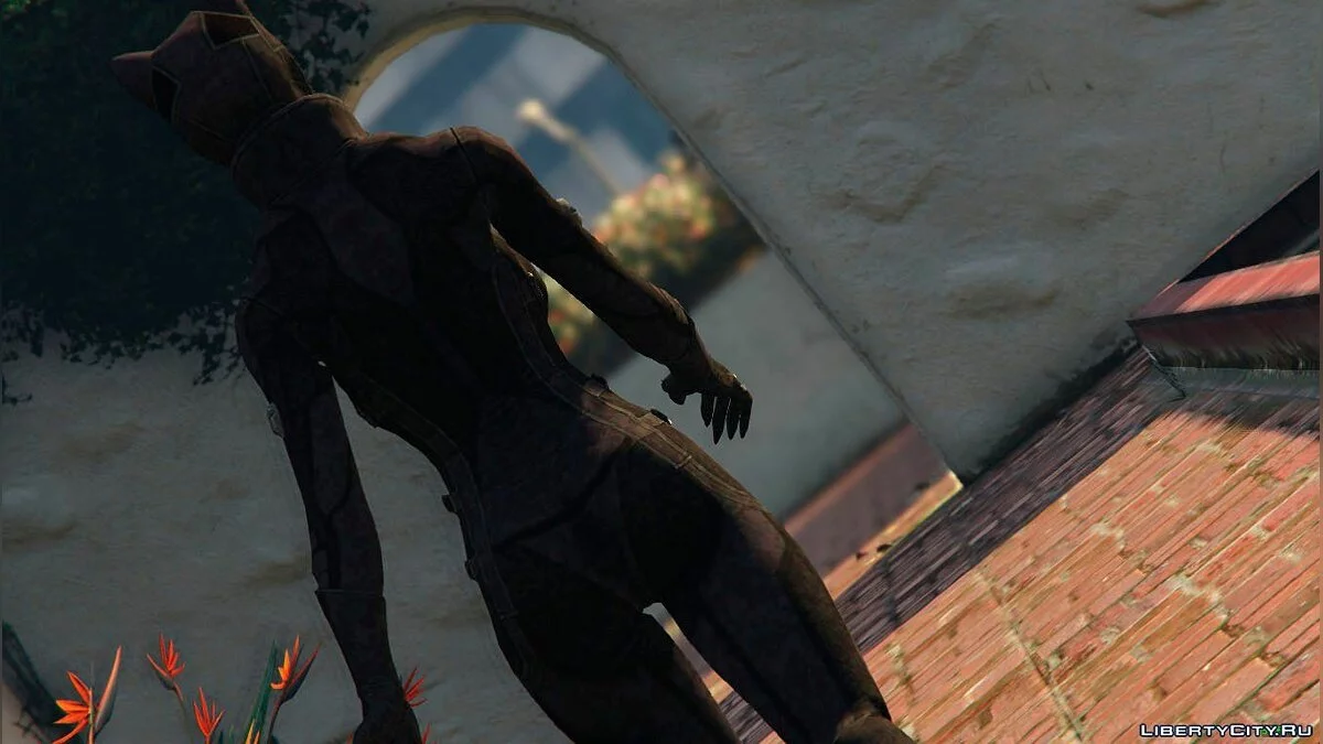 Catwoman / GTA 5
