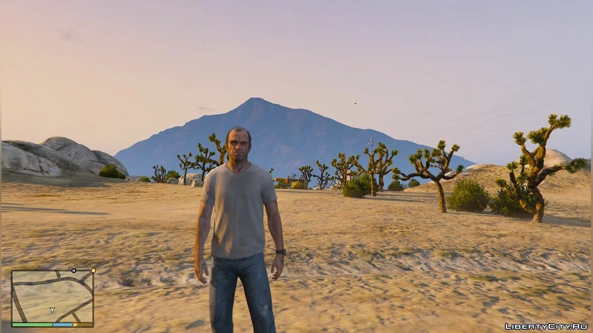 Trevor trailer 2 face / GTA 5