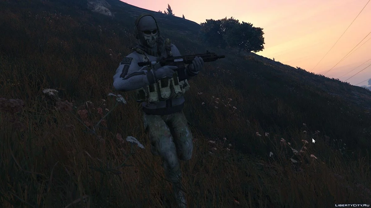 Call of Duty MW Саймон