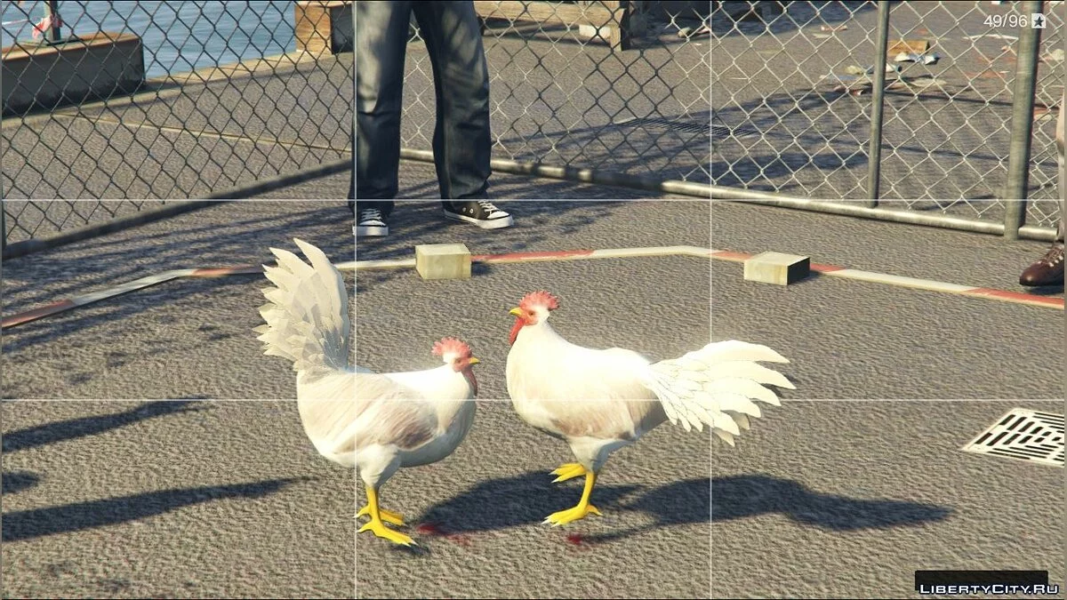 Mod Ayam - Rooster-Gallo(peruano) Hewan Baru / GTA 5