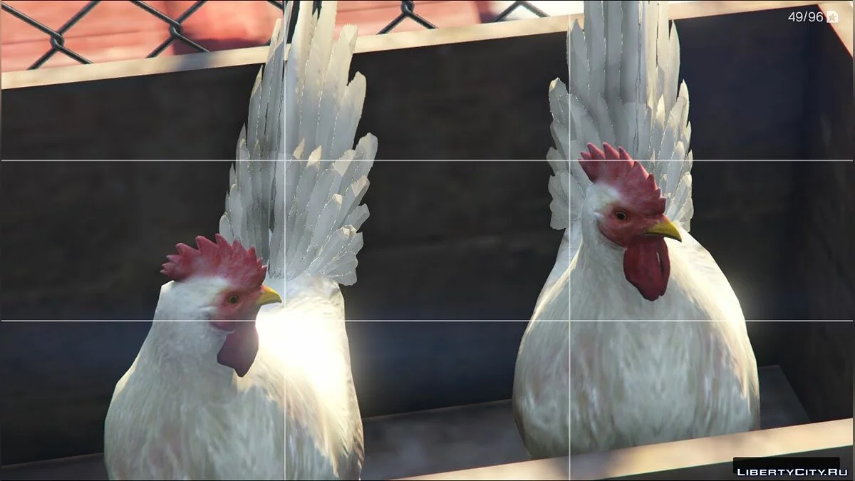 Mod Ayam - Rooster-Gallo(peruano) Hewan Baru / GTA 5