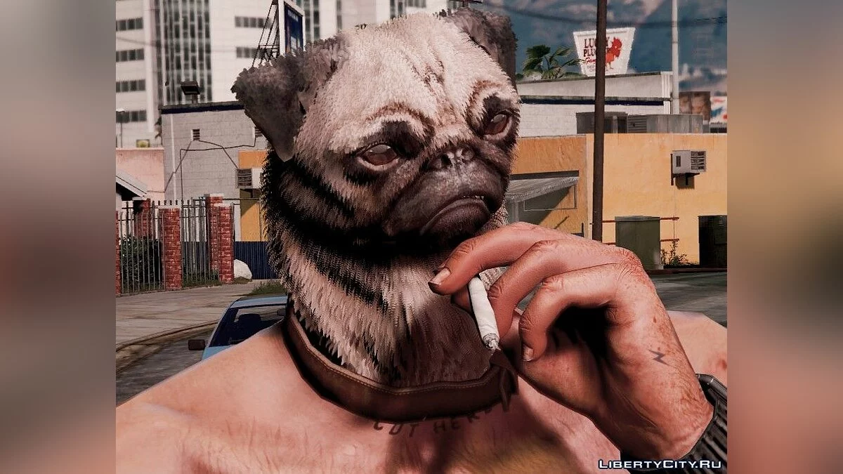 人形斗牛犬 / GTA 5