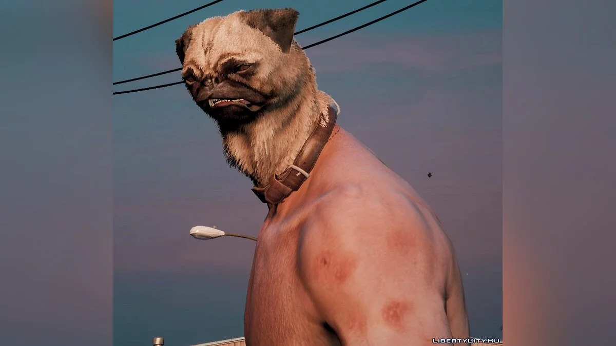 人形斗牛犬 / GTA 5