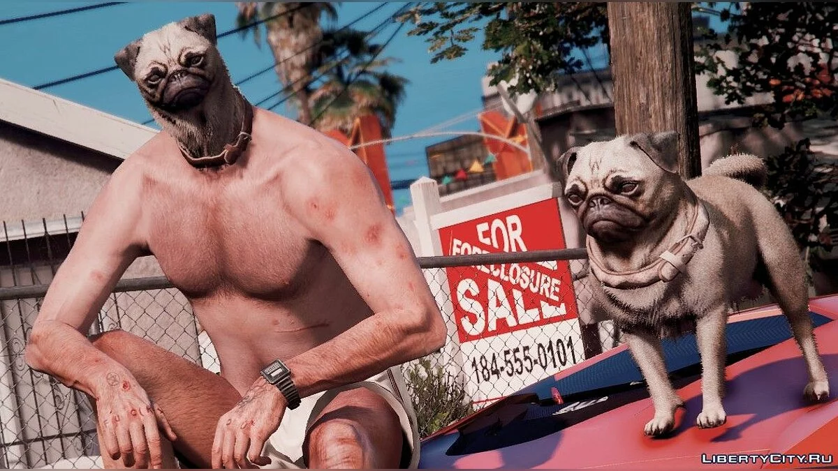 人形斗牛犬 / GTA 5