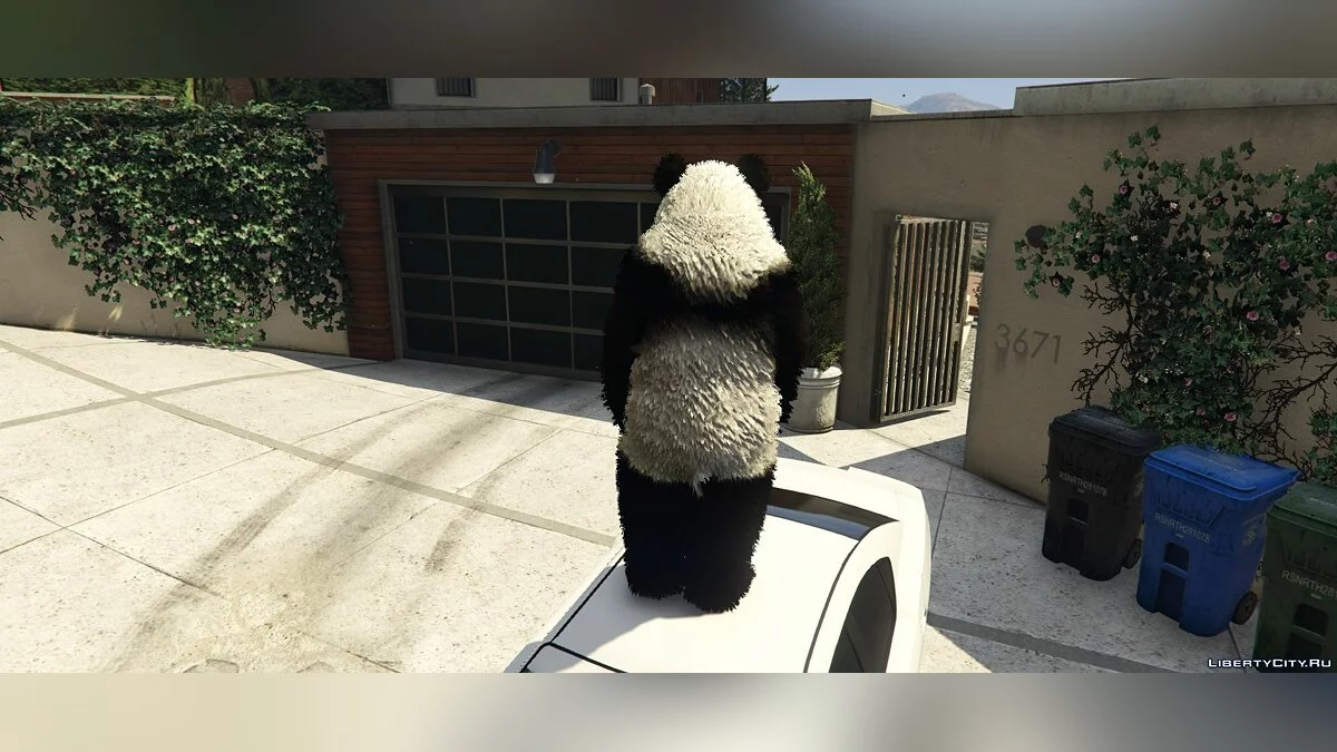 Panda / GTA 5
