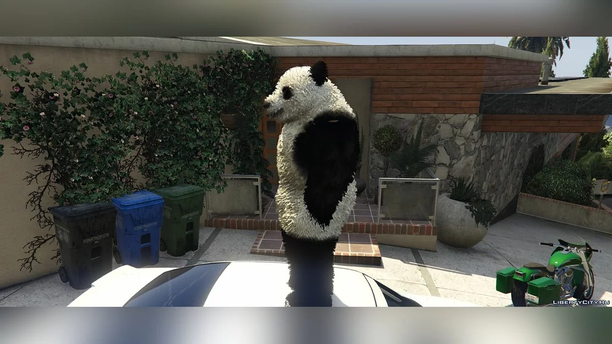 Panda / GTA 5
