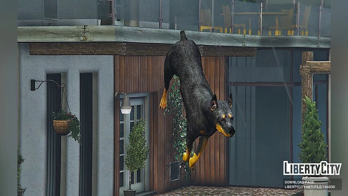 دوبرمان / جي تي أي 5