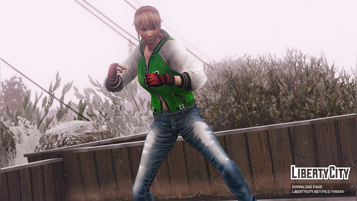 Хітомі з Dead or Alive 5 / GTA 5