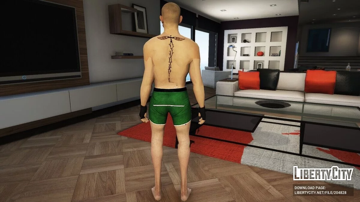 康纳·麦格雷戈 / GTA 5