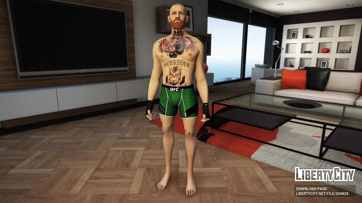康纳·麦格雷戈 / GTA 5