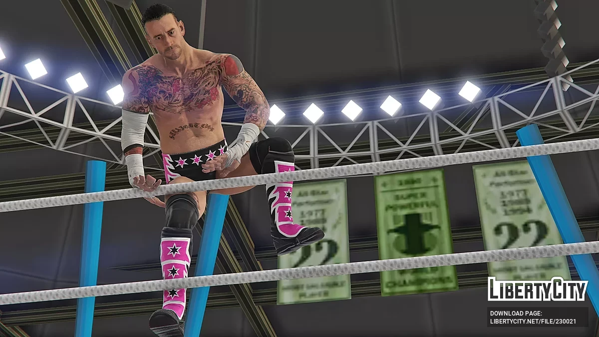 CM Punk | WWE 2K25 (Add-On Ped) / GTA 5