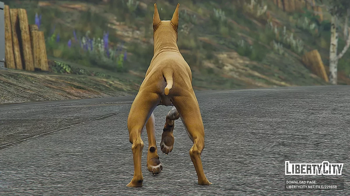 Anjing Great Dane (Ganti) / GTA 5