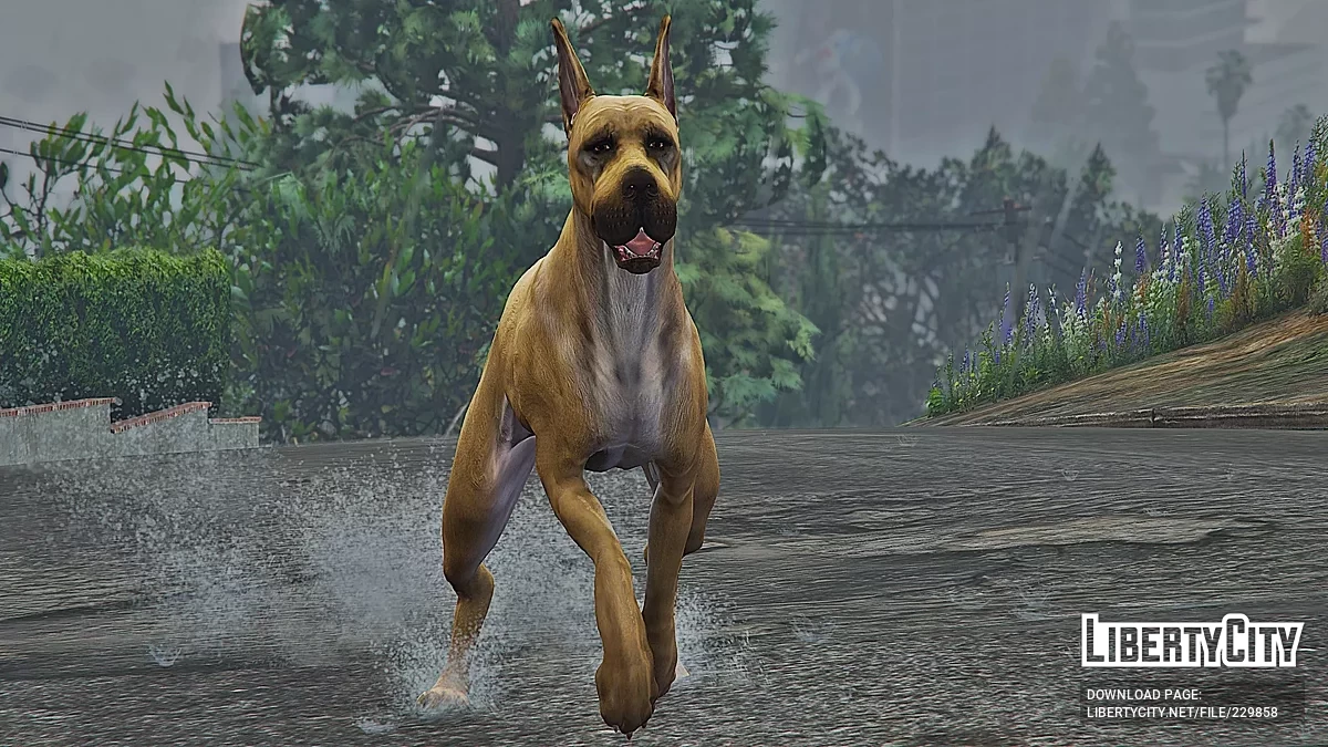 Anjing Great Dane (Ganti) / GTA 5