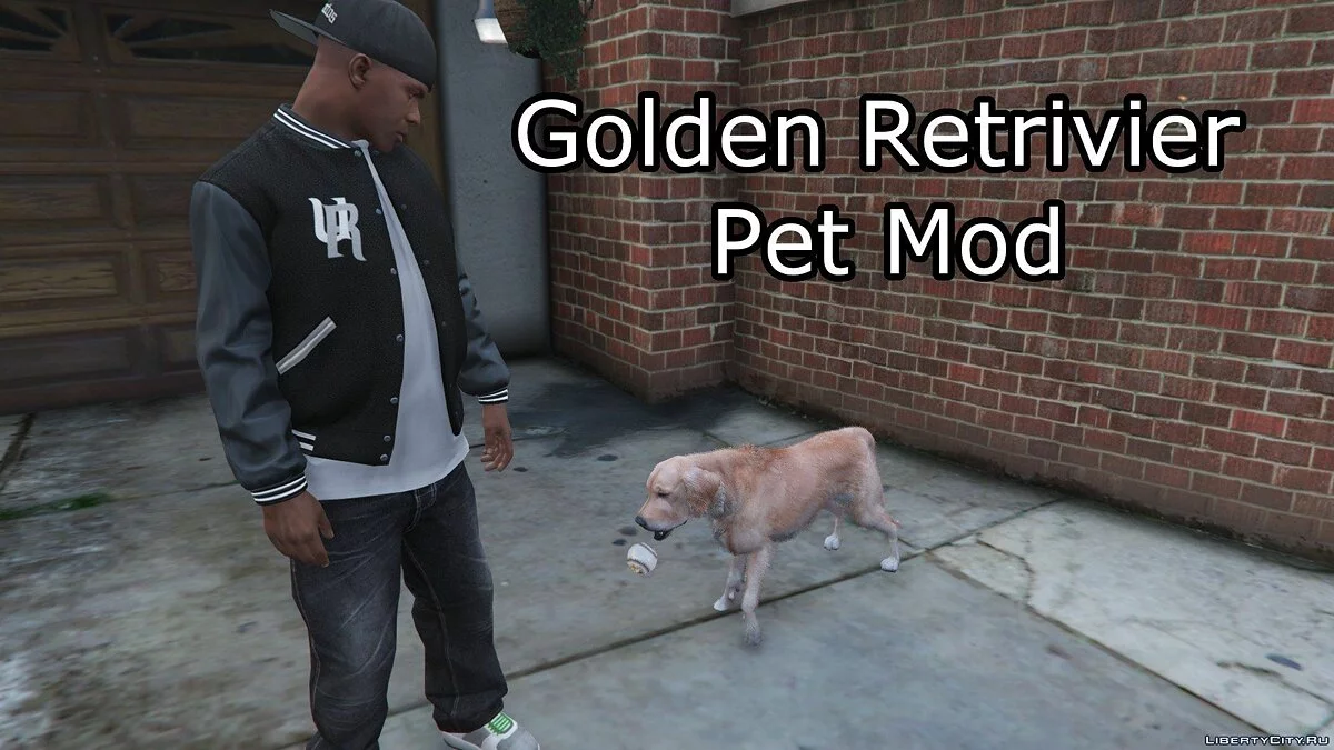 Goldener Retriever / Golden Retriever Haustier Mod / GTA 5