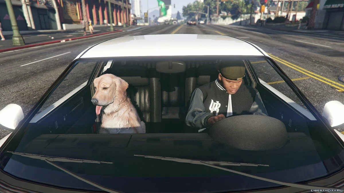 Goldener Retriever / Golden Retriever Haustier Mod / GTA 5