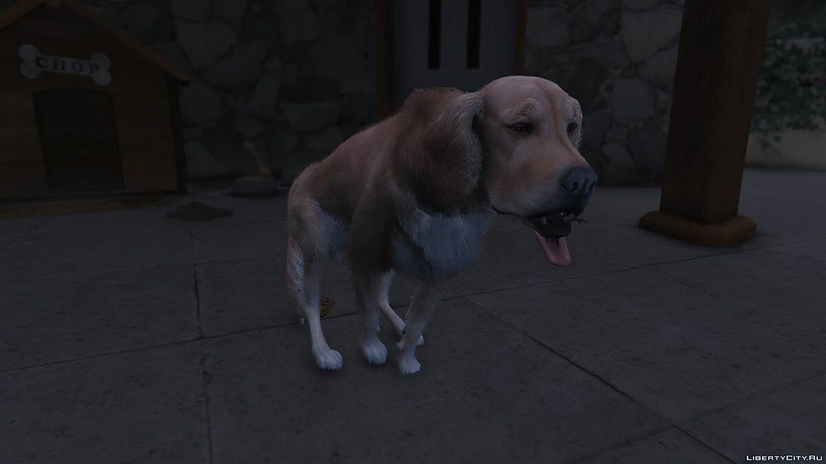 Goldener Retriever / Golden Retriever Haustier Mod / GTA 5