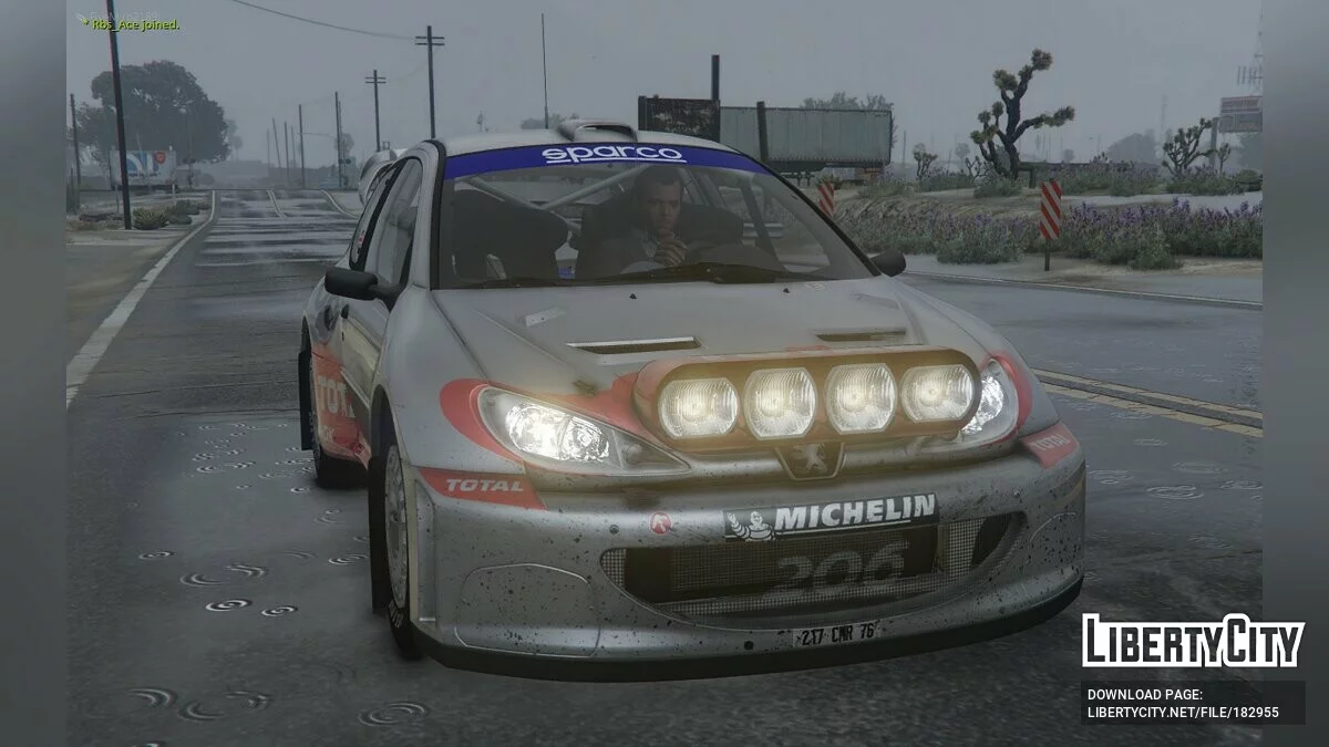 Peugeot 206 WRC v1.0 / GTA 5