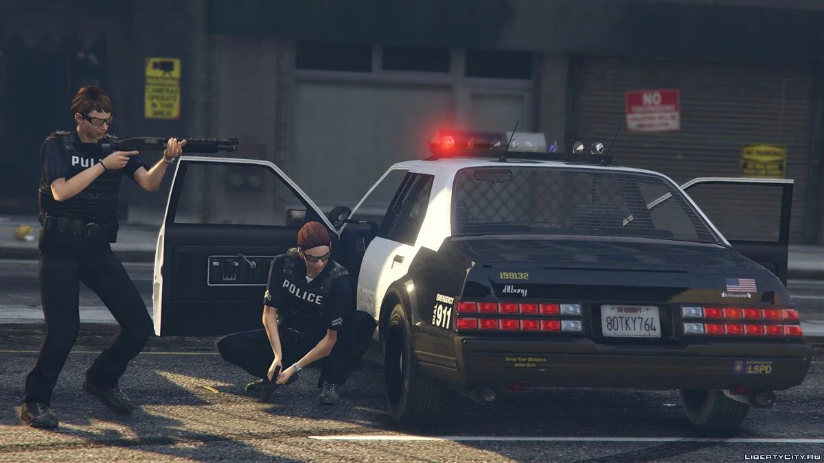 Albany Esperanto Police Roadcruiser 2.0 / GTA 5