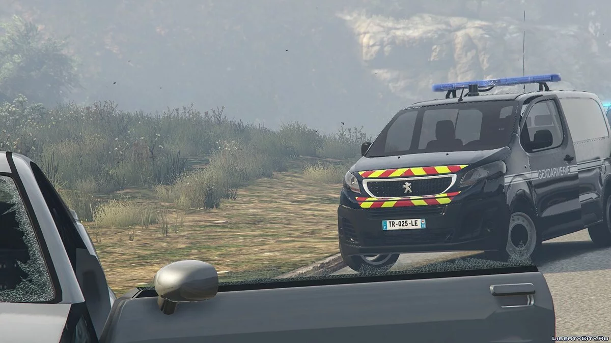 Peugeot Expert 2017 Gendarmerie 2.0 / GTA 5