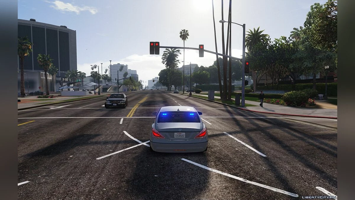 Непомечений Mercedes CLS 1.0 / GTA 5