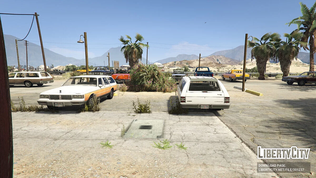 Pontiac Parisienne 1982 Station Wagon / GTA 5