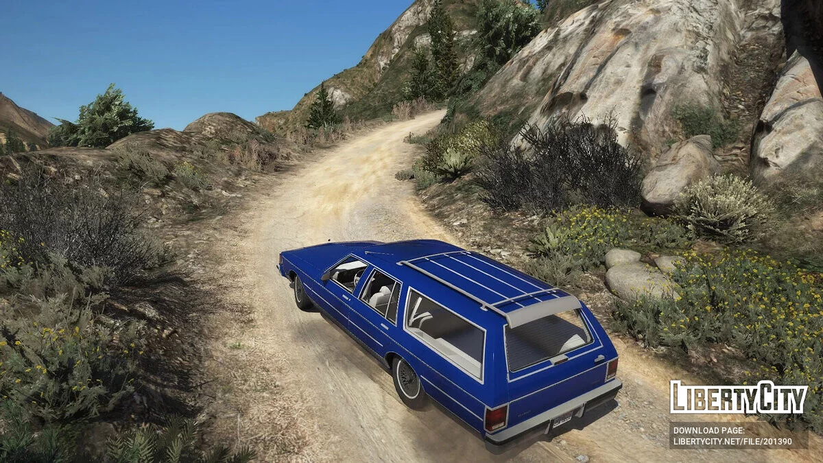 Pontiac Safari + wood 1979 [Add-on] 1.0 / GTA 5