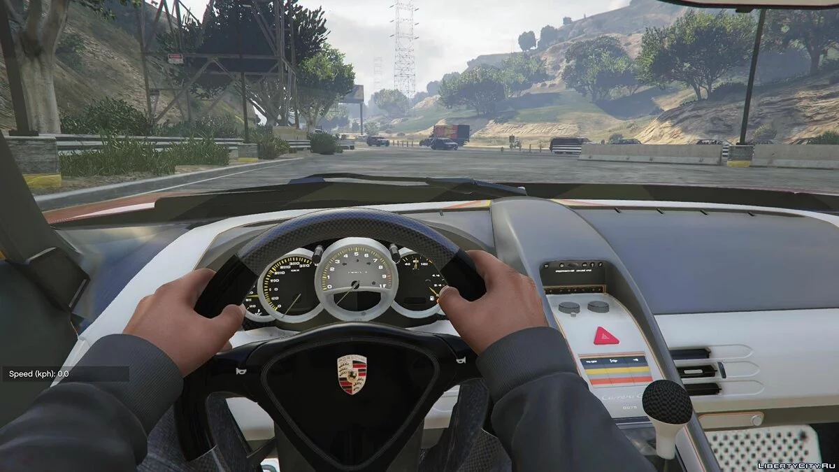 Porsche Carrera GT [+ Add-On] 3.0 / GTA 5