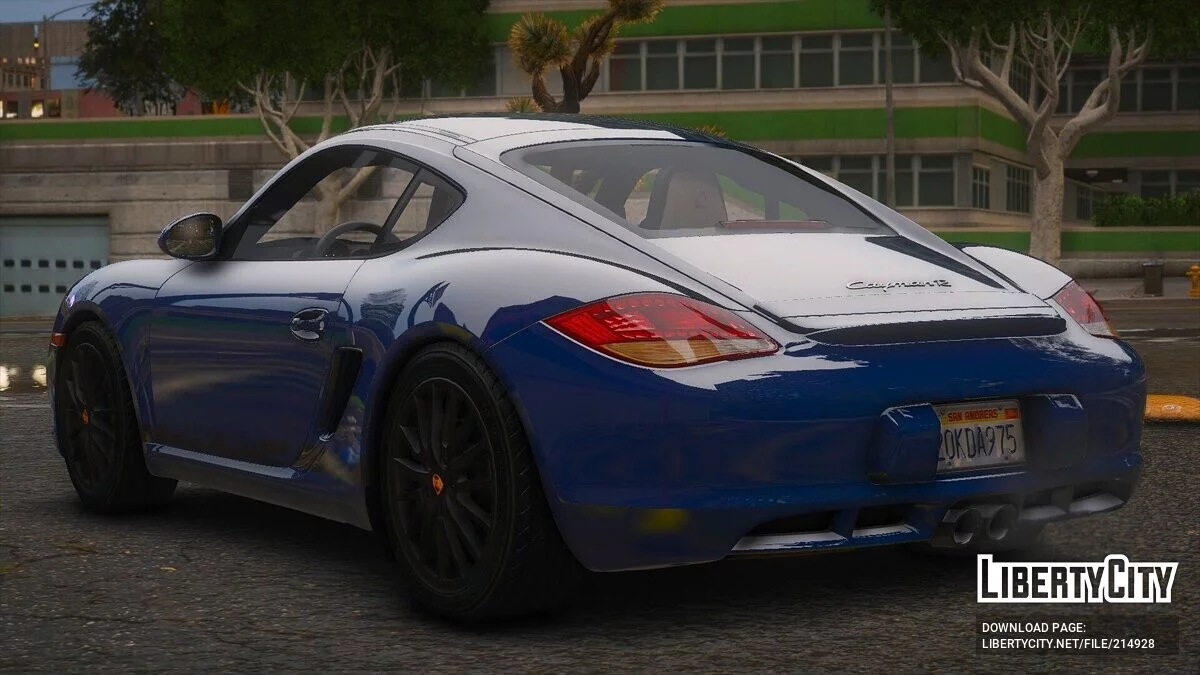 2010 Porsche Cayman S / GTA 5