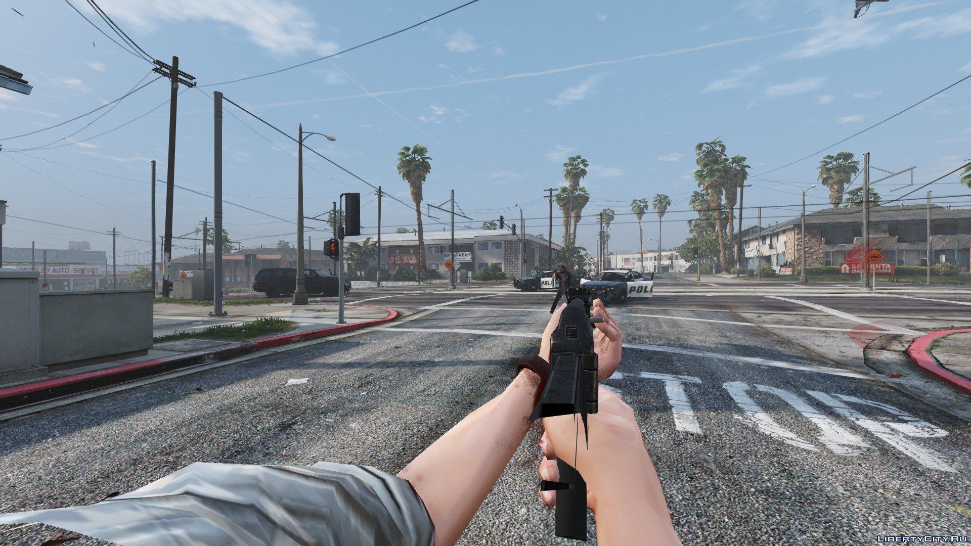 14 wanted level stars in gta 5 фото 82