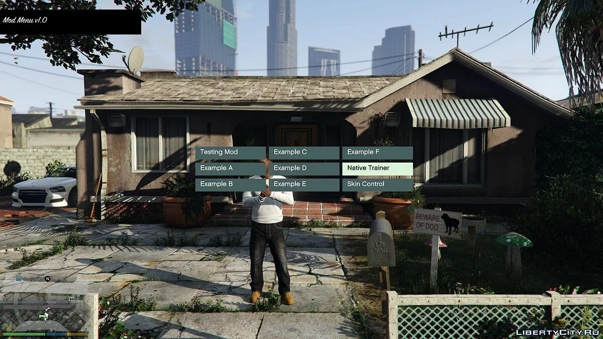 Mod Menu / GTA 5