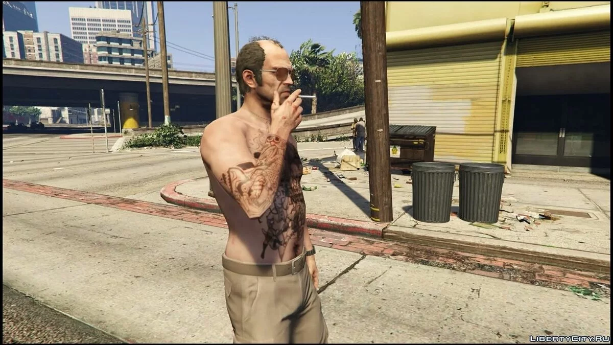 Boire et Fumer / Drink & Smoke / GTA 5