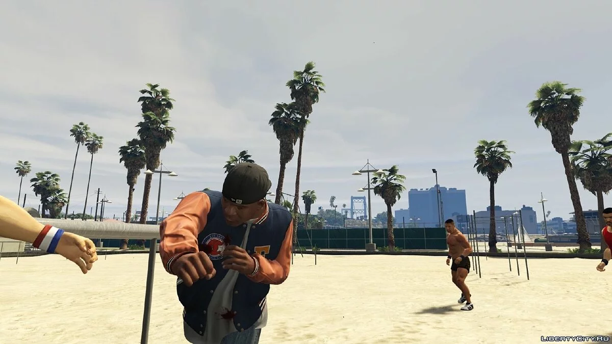 Realistic fights / GTA V Realistic Brawling 1.6+ / GTA 5