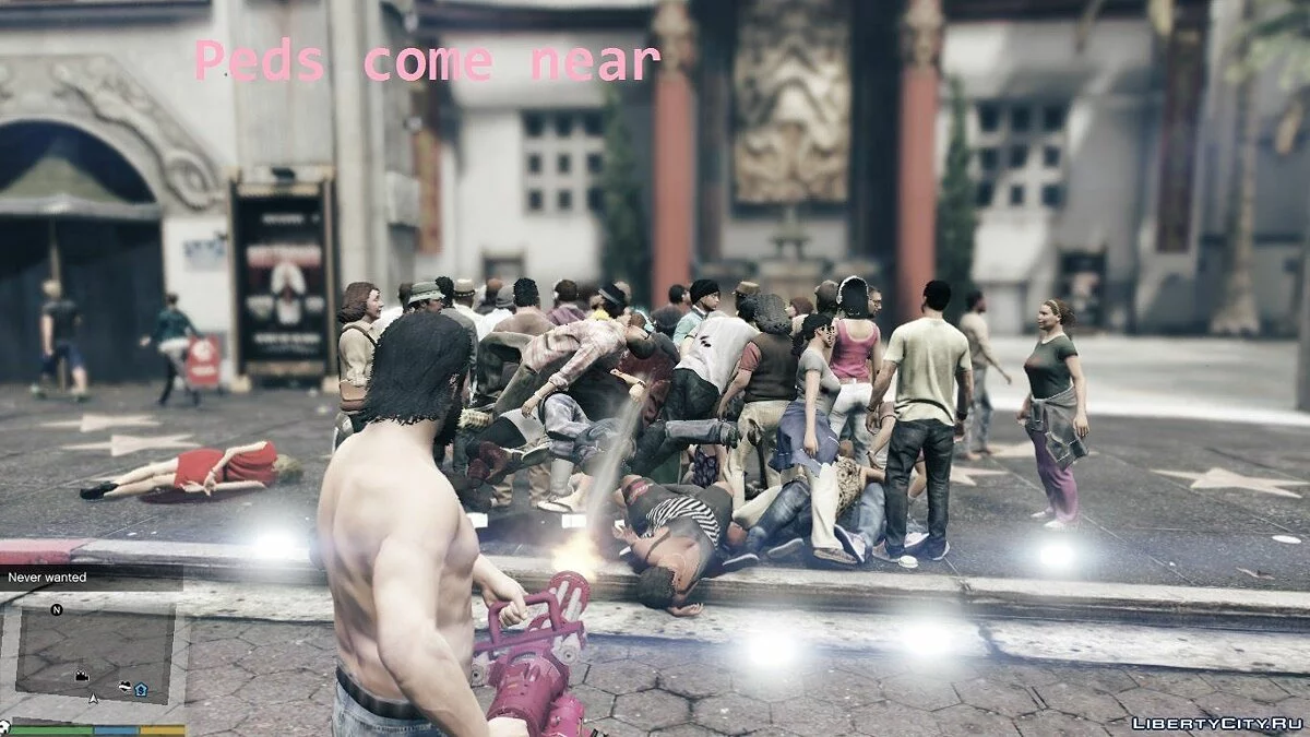 HDN mod 1.2.2 / GTA 5