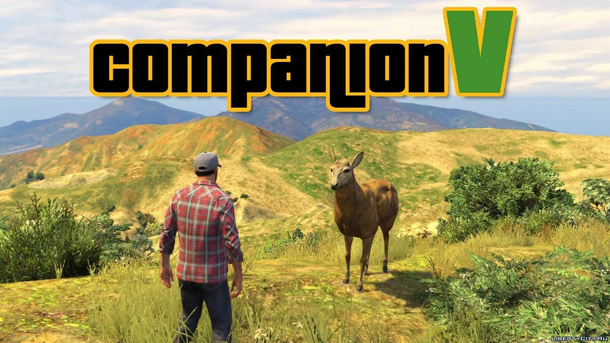CompanionV 1.1 / جي تي أي 5
