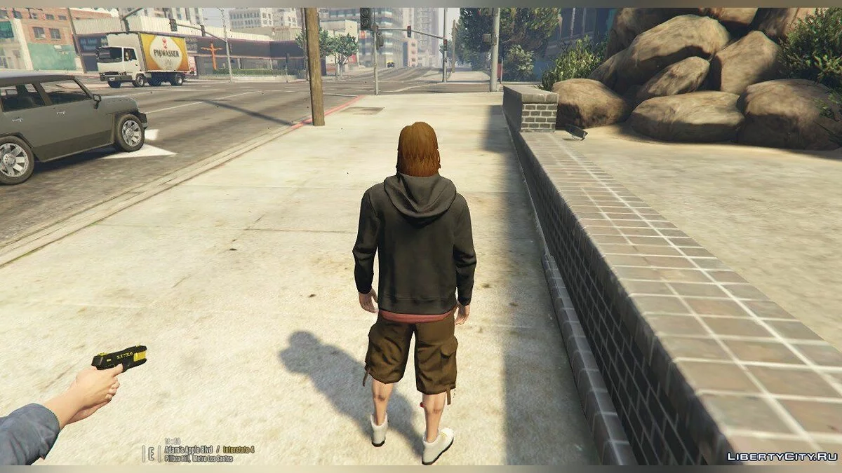 Defibrillator v1.0 / GTA 5