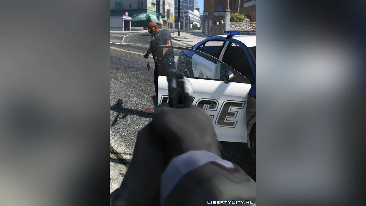 DisarmV 1.2 / GTA 5