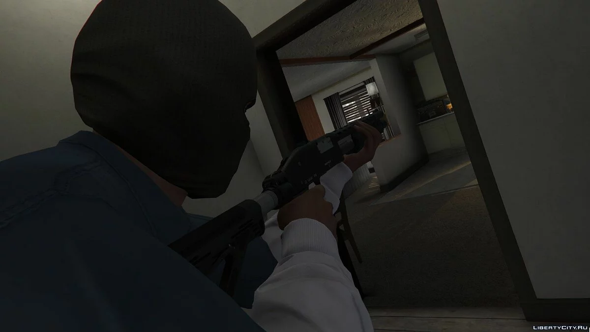 Invasion de domicile 2.0 / GTA 5