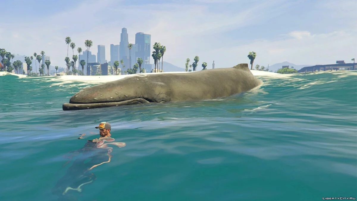 CompanionV [.NET] 2.1 / جي تي أي 5