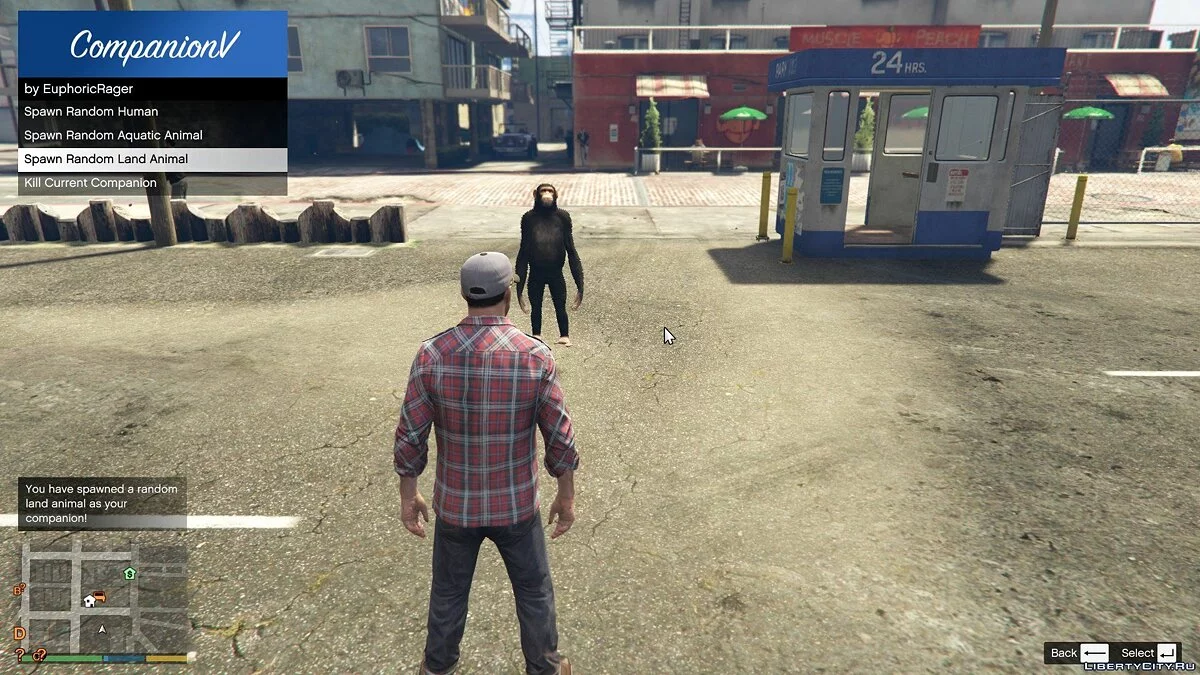 CompanionV [.NET] 2.1 / جي تي أي 5