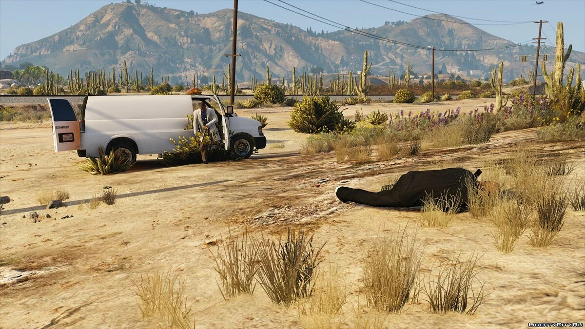Coroner Service 1.3.1 / GTA 5